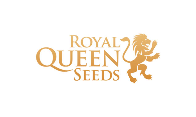 Royal Queen Seeds